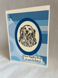 Custom Greeting Card Pack