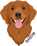 Golden Faces Stickers
