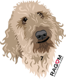 Golden Faces Stickers