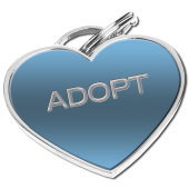 Adoption Fees: Special Needs