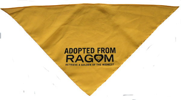 Gold Adopted From RAGOM Bandana